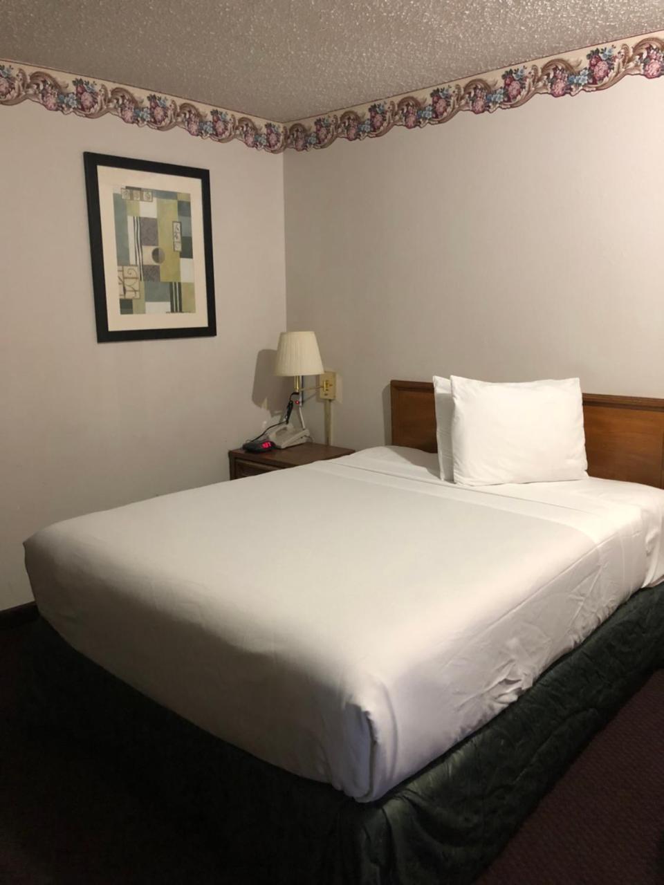 Rexdale Inn Seminole Esterno foto